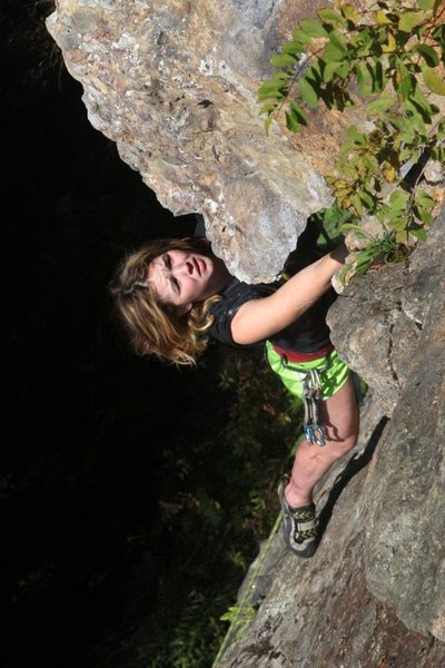 lily getting off the slab and in to the business