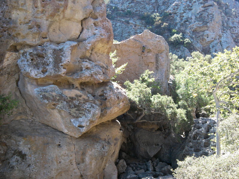 Justin at the top of moonshiner