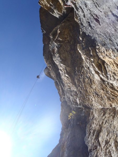 More abseiling fun