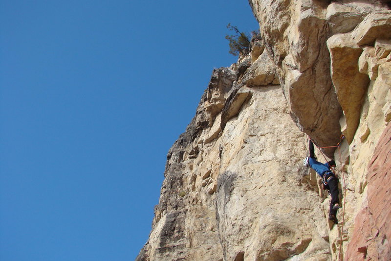 Pulls a pretty radical roof for a 5.10.