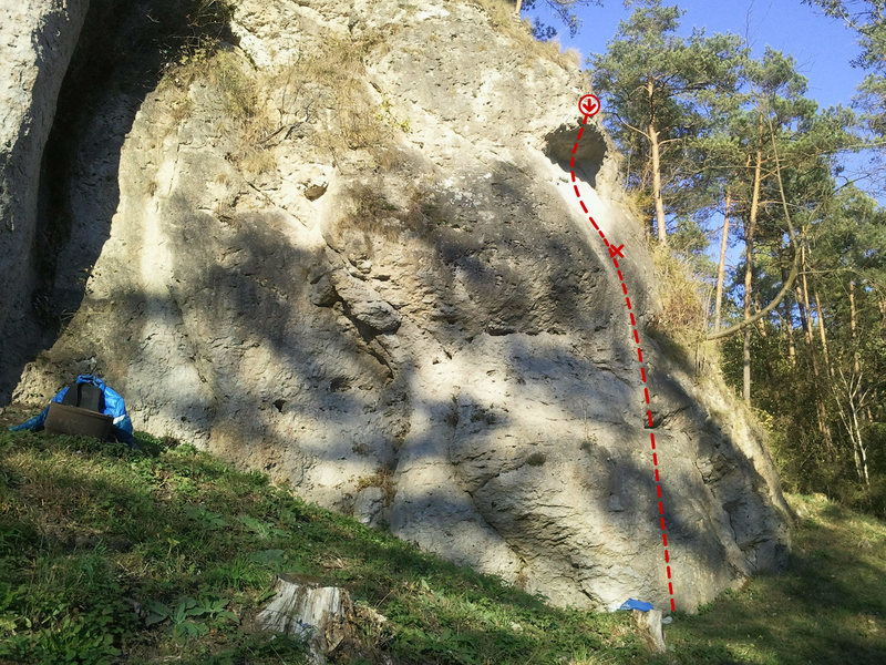 Kleiner Schleicher