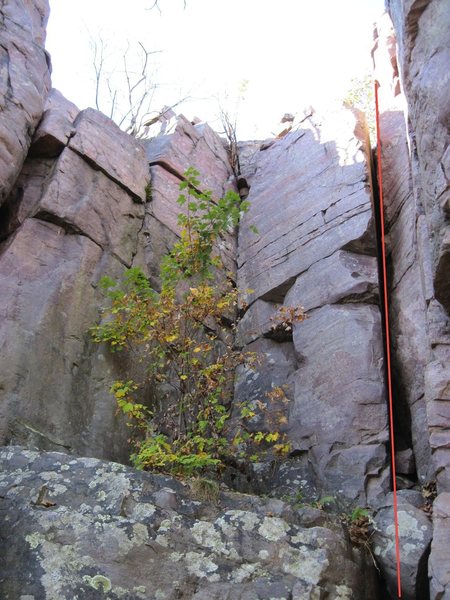 Unnamed 5.3?