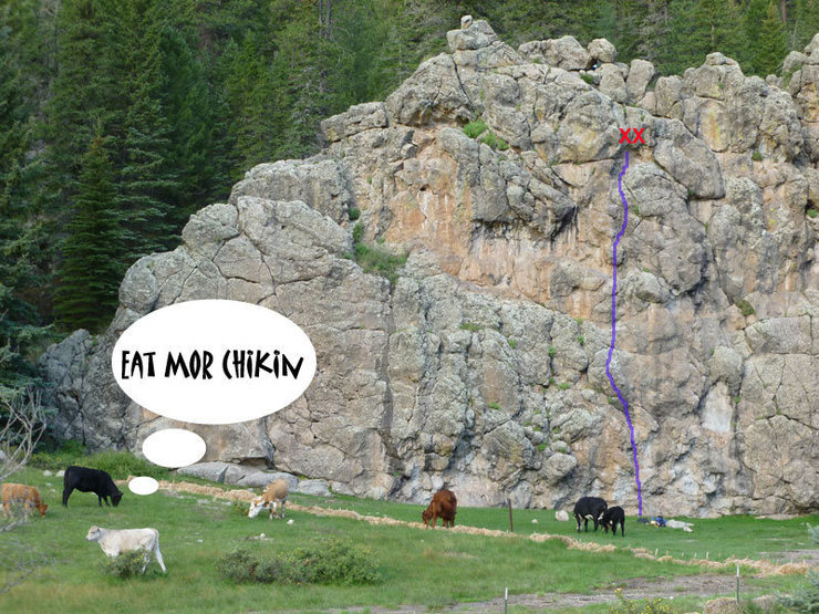 Eat Mor Chikin pic