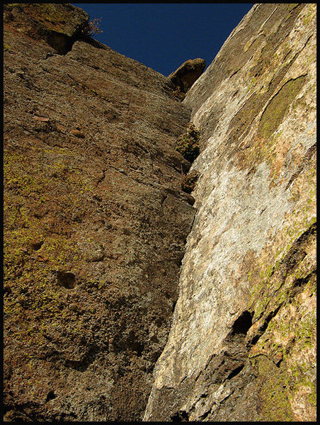 Looking up "Cooking With Crash".<br>
Photo by Blitzo.