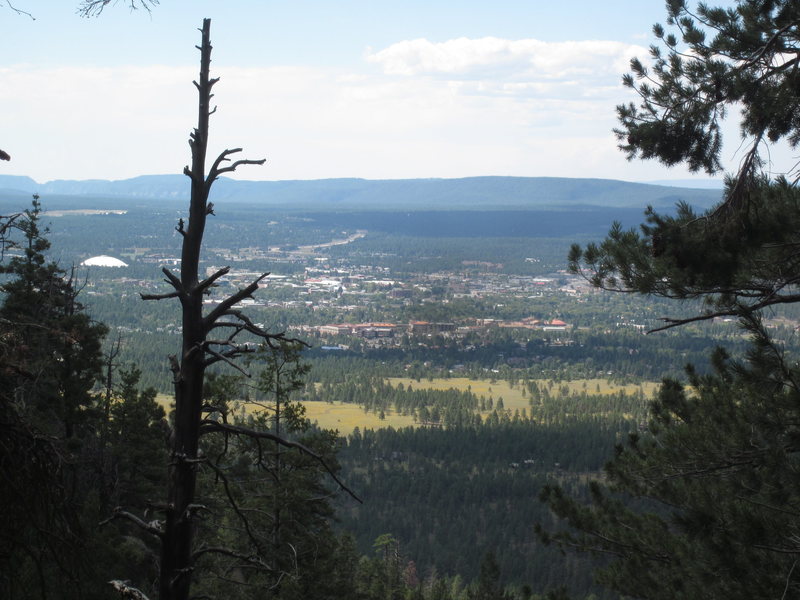 The view of Flagstaff from Oaklands. That's Buffalo Park just below center.
