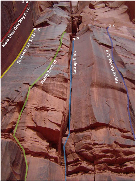 Cat Wall Routes: More Than One Way, To Skin a Cat, Puddy Tat, Catsup
