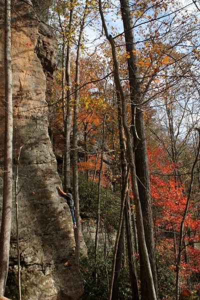 fall day on reserved seating