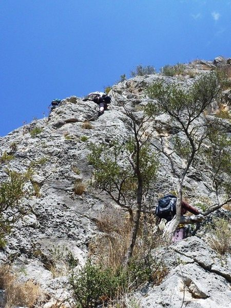Pitch 5 of Albahida