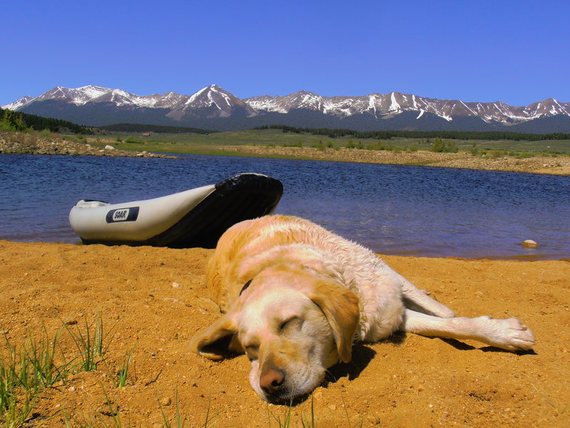 My dog and canoe at Taylor Rez.