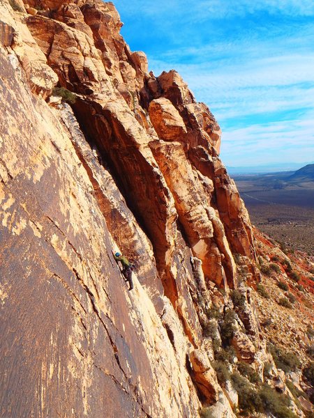 New Zealand climber on Johnny Vegas