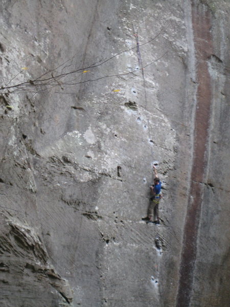2011