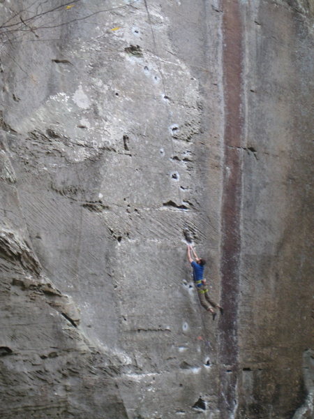 2011