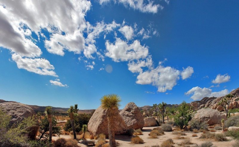 Gorgeous day in Jtree - Real Hidden Valley