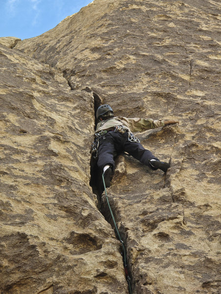 Getting some gear on Rock-a-Lot.