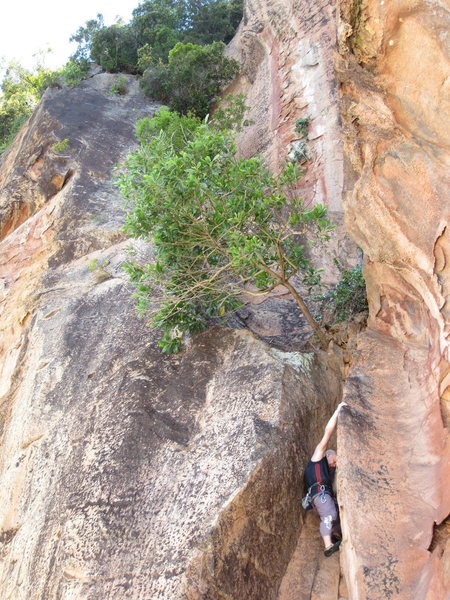 Alex struggling out chimney.