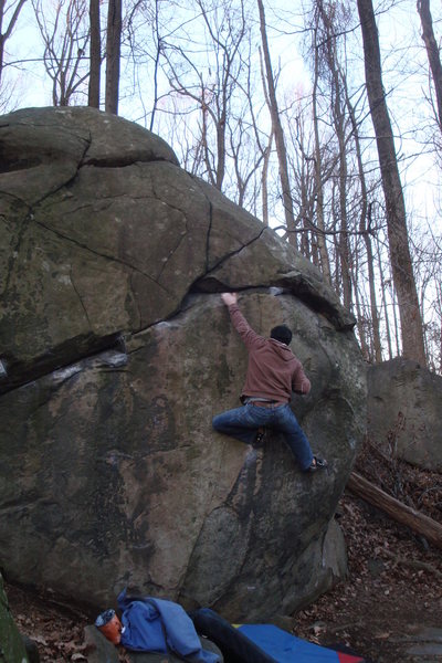 Rocky cruising the classic Coleflesh