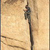 Ammon McNeely soloing "Damper".<br>
Photo by Blitzo.