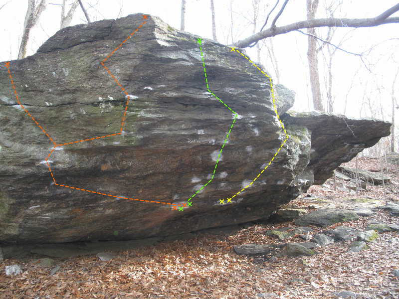 Pictured in Orange
