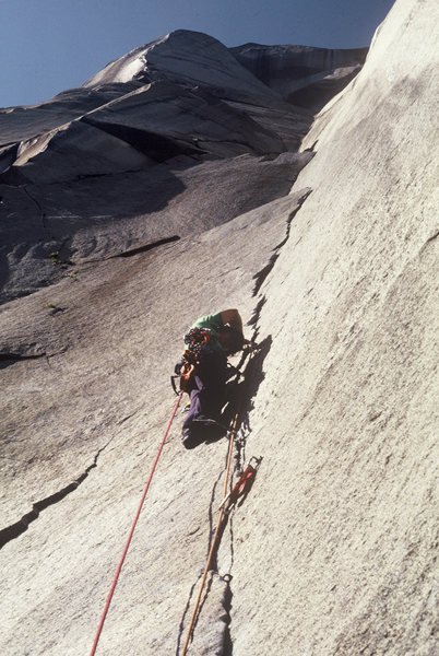 Pancake Flake, 1979