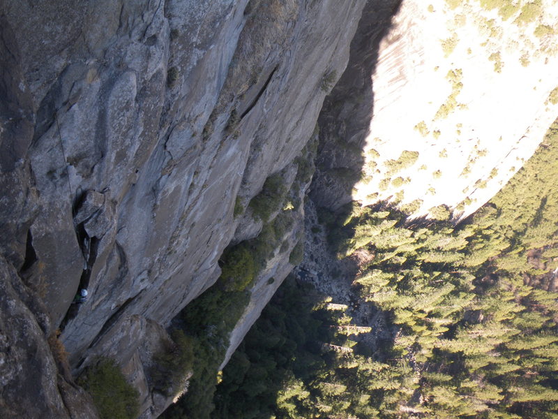 George M. in the brief but exciting chimney on P3 of Selaginella.