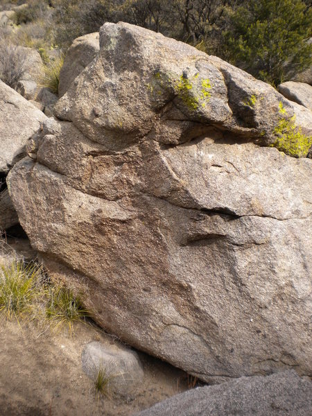 The Knobby