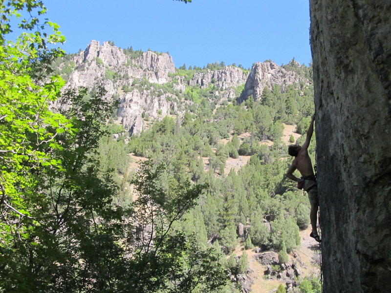 Paleface, July 2011, pic by Mike Langenheim.