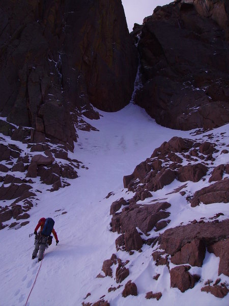 Approaching Total Abandon. Autumn 2009.