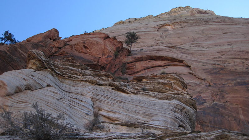 Looking at the upper wall from the top of pitch 6 - you can rappel from the large tree in the photo (top of pitch 9) back to the good bivy ledge