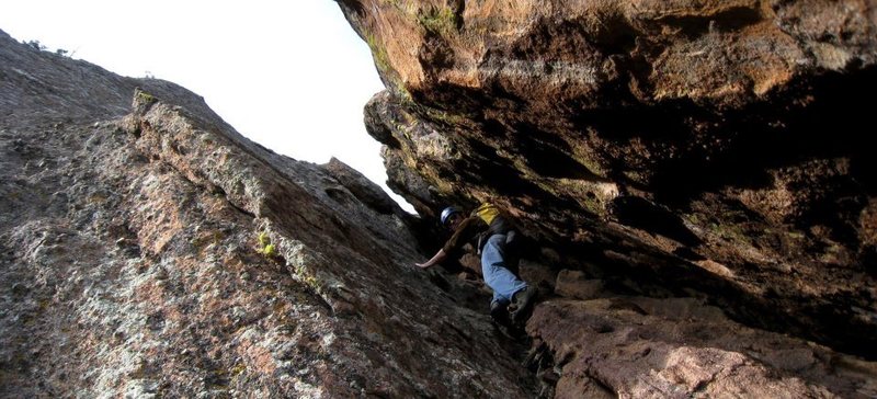 Near the top on El Camino Royale. 1/31/12.