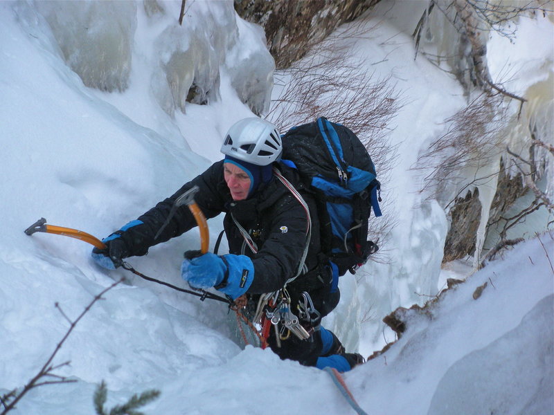 Gene topping out