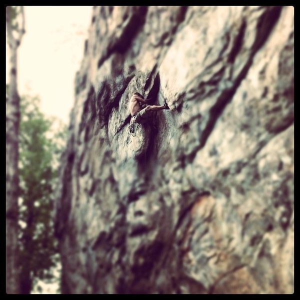 Practice Wall<br>
<br>
Slimebelly Snakeass Sodhole Skunkpie (5.12a) Mixed<br>
<br>
Crowders Mountain State Park, North Carolina