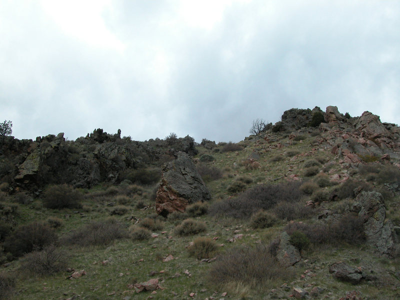 3 Bighorn Sheep in Duck Creek Canyon near mid way Rock Find 'em