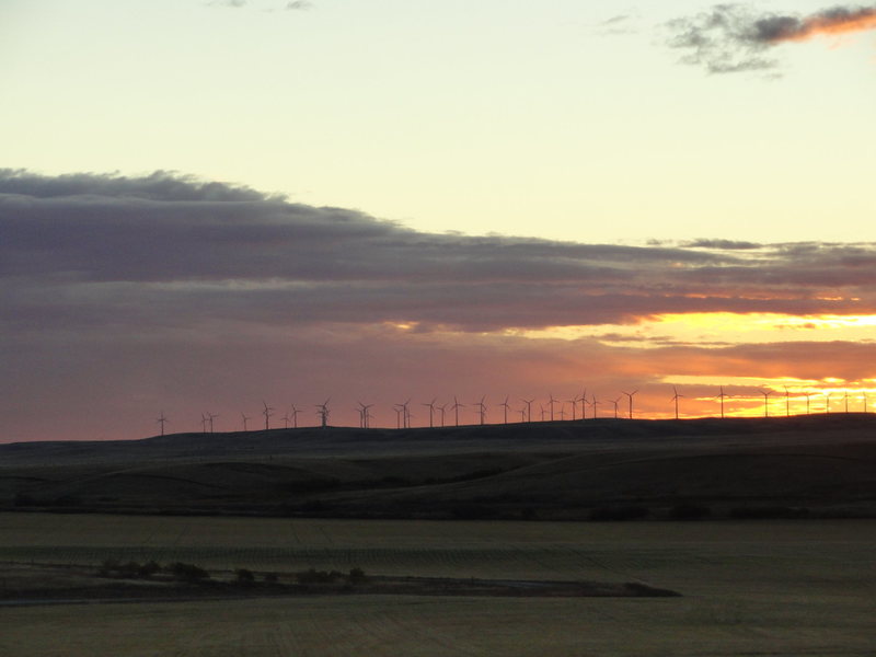 Pincher Creek, south of Banff by a couple hours, is full of jobs in the wind industry. It's also quite scenic.