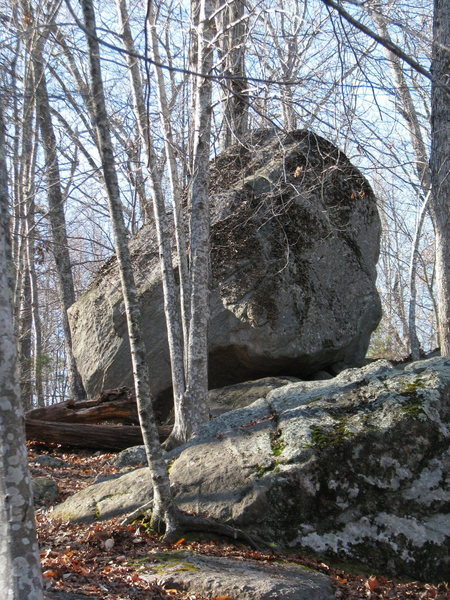 The back side of the Escoheag Boulder. Underneath the lichen are lots of nice holds and easier routes than the front.