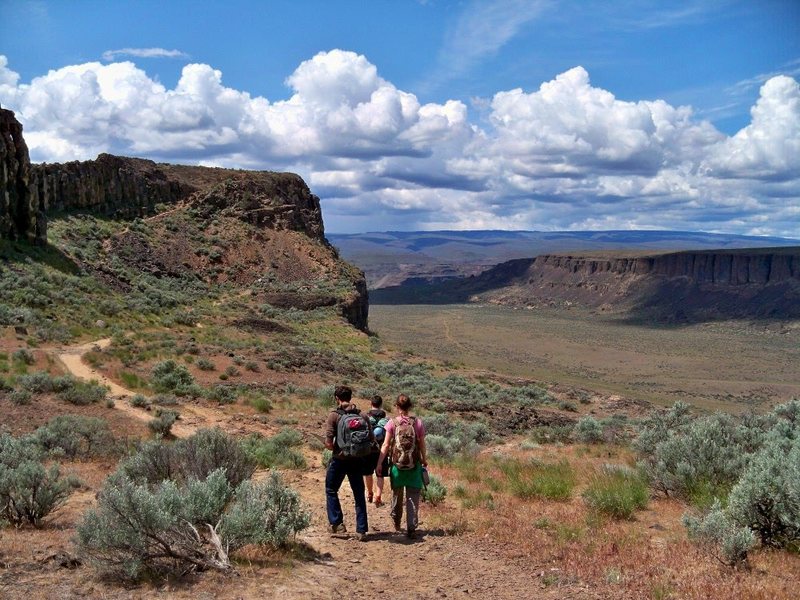 The approach trail. Stay right toward the cliff edge to reach Middle East Wall (exposed). Take the left fork up and over the plateau to Sunshine Wall