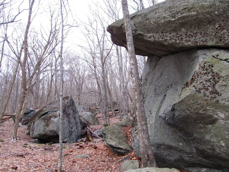 Luminary close, Huckleberry further and left.