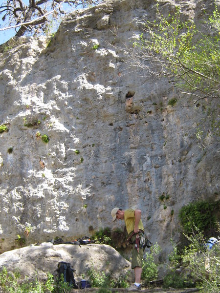 Part of Arbor Wall. Arborcidal Tendencies is left of the climber, going up the wall where sunlight turns to shade. Cliptomania is directly over the climber. Mrs. Johnson is on the right, directly above the white helmet.