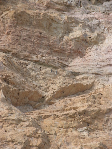 Close up of anchors