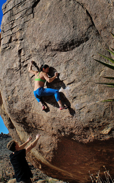 Natalie Duran on Alexandria