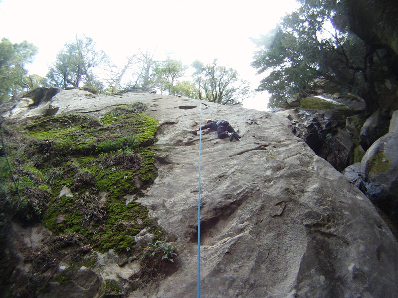 You can see that pretty much anything to the left of the waterfall route is covered in a thick and luscious growth of moss...
