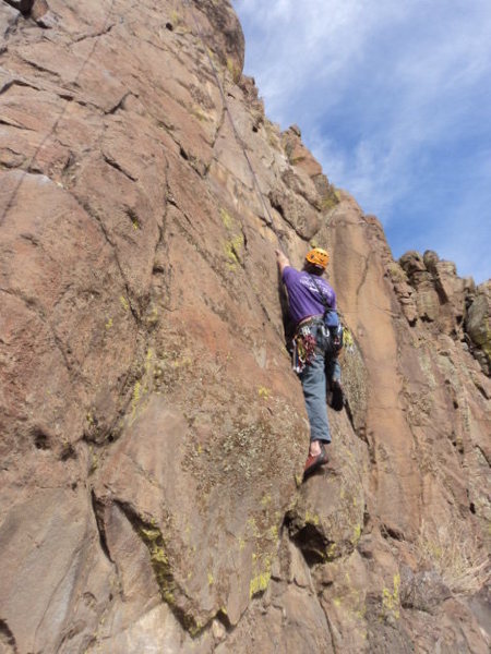 Dave found you can get pink and red tricams to fit that horizontal at the level of his left hand in this photo.
