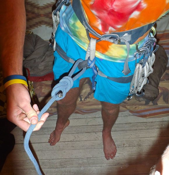 Harnesses with elastic leg loops