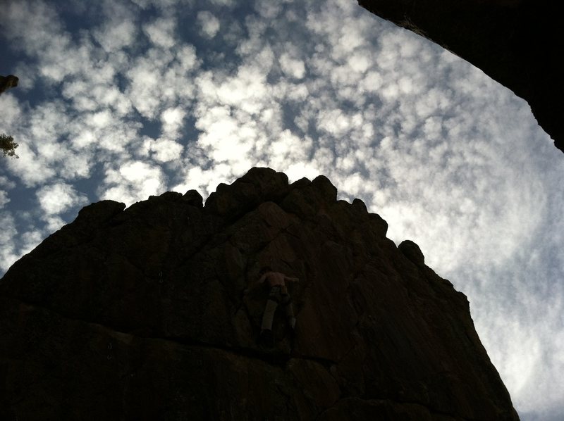Into the sky.