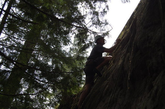 Lower section of "Lost Ring"
