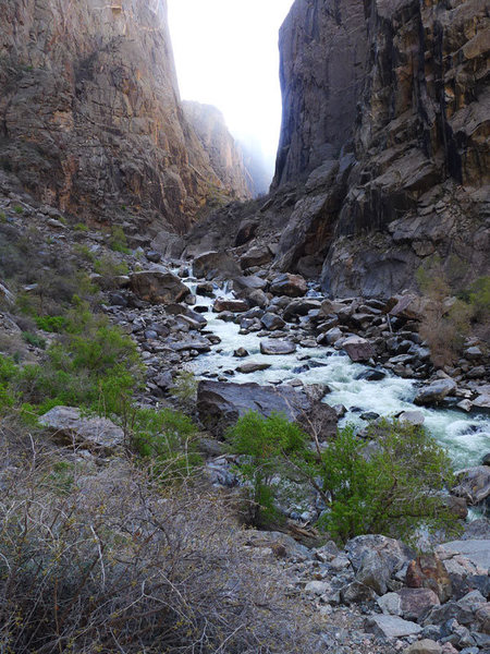 Gunnison River.