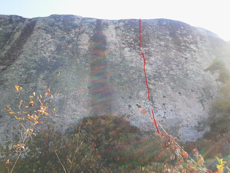 No Lead 5.11