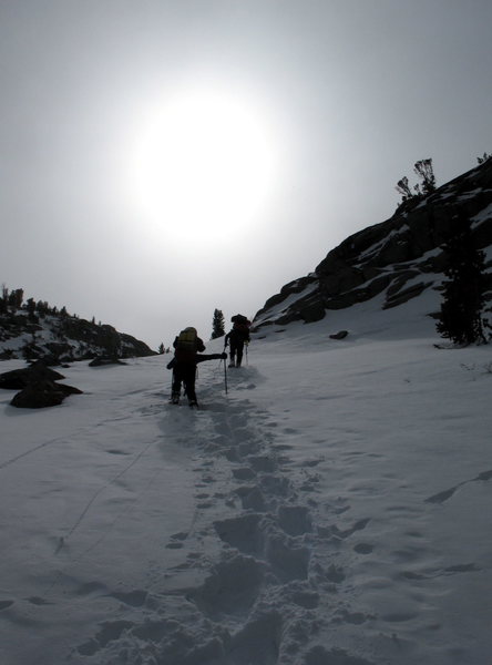 steep soft snow below sam mack meadow, the palisades.