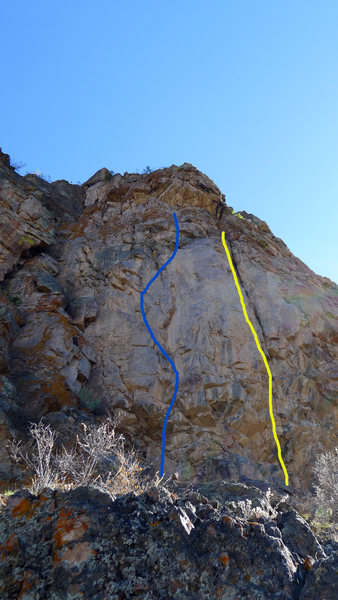 The blue line.