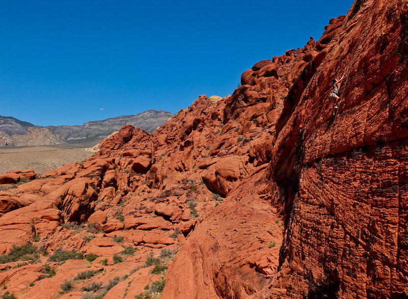 A nice wall to climb on.