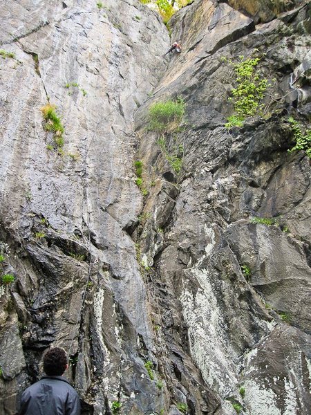 Zach up high on the Spectacular Autumn Arch